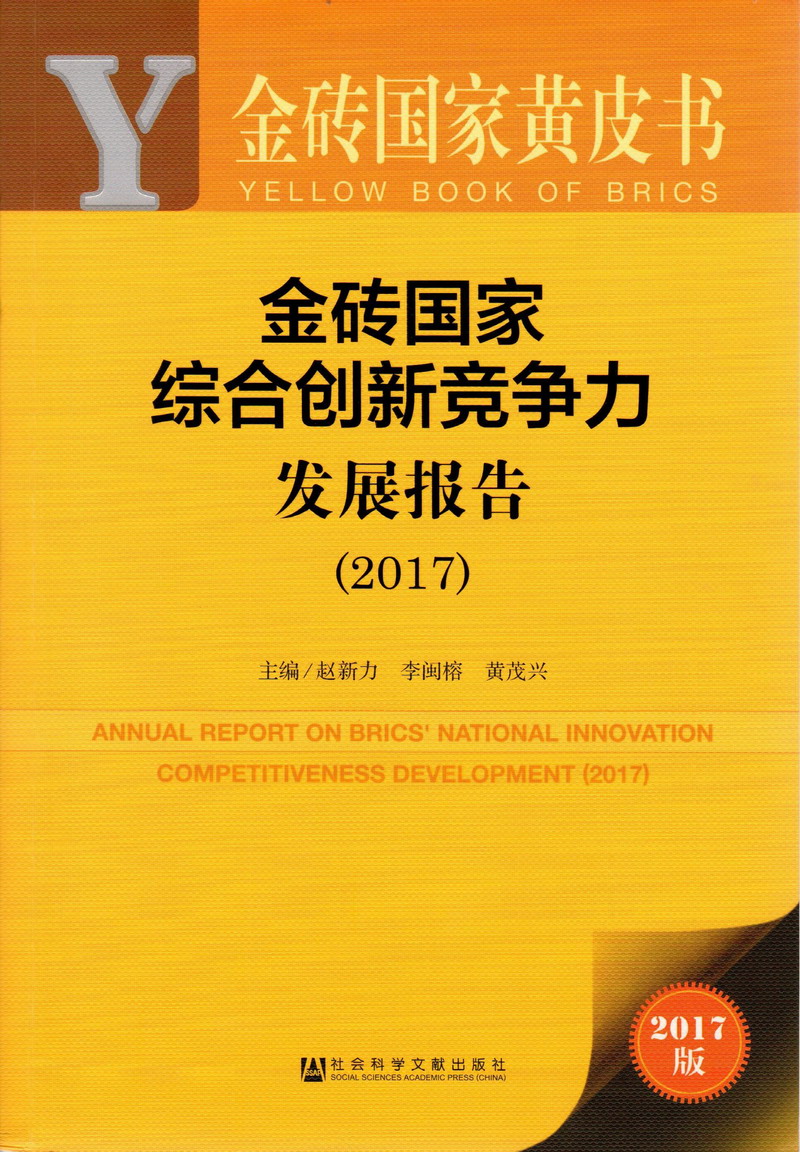 大鸡巴快操小骚逼视频金砖国家综合创新竞争力发展报告（2017）